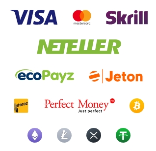 Pagamenti multipli disponibili su 20bet